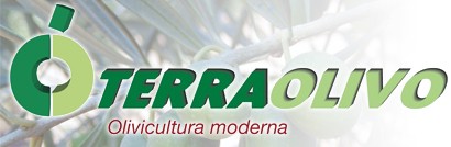 TERRAOLIVO